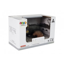 Állatok Afrika víziló Zebra figurák halmaza