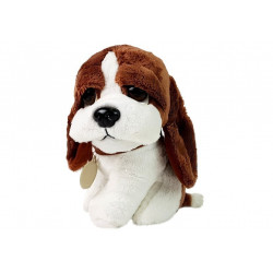 Lalka Dziewczynka z Pieskiem Zestawem Lekarskim i Dźwiękiem