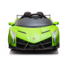 Elektromos utazás Lamborghini Veneno Greenen