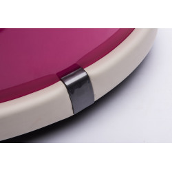 Electric Ride XMX621 Pink