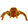 Távirányítós Tarantula Spider infravörös barna R/C