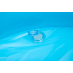 Felfújható medence virágok 229 x 152 x 56 cm Bestway 54120