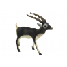 Blackbuck Antilop Collector's figurine Animals of the World