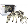 Zebra 2 db figurából álló készlet a világ fiatal állataival