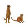 2 db Surykat Animals of the World Series figurája