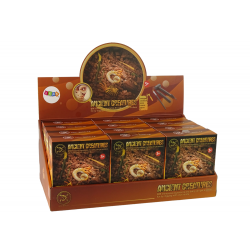 Ősi lények ásatási készlet Ammonite meglepetés
