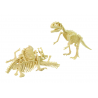 Régészeti dinoszaurusz-csontváz összeszerelhető 5 féle készlet