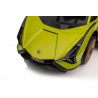 Lamborghini QLS-996T Ride-on tolózölddel