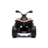 Elektromos utazás a CAN-AM Renegate Beige-en