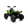 Elektromos utazás a CAN-AM Renegate Greenen