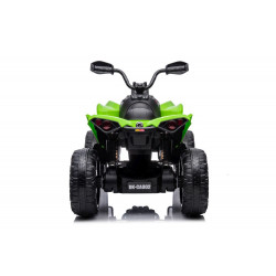 Elektromos utazás a CAN-AM Renegate Greenen