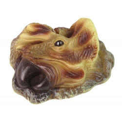 Triceratops dinoszaurusz ásatási oktatókészlet