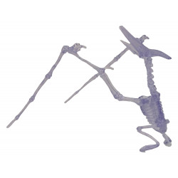 Világító, összeszerelhető dinoszaurusz csontváz