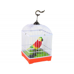 Színes papagáj kalitkával