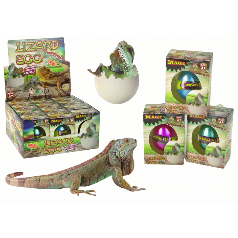 Keltető varázsgyík tojástermesztés 6 cm.